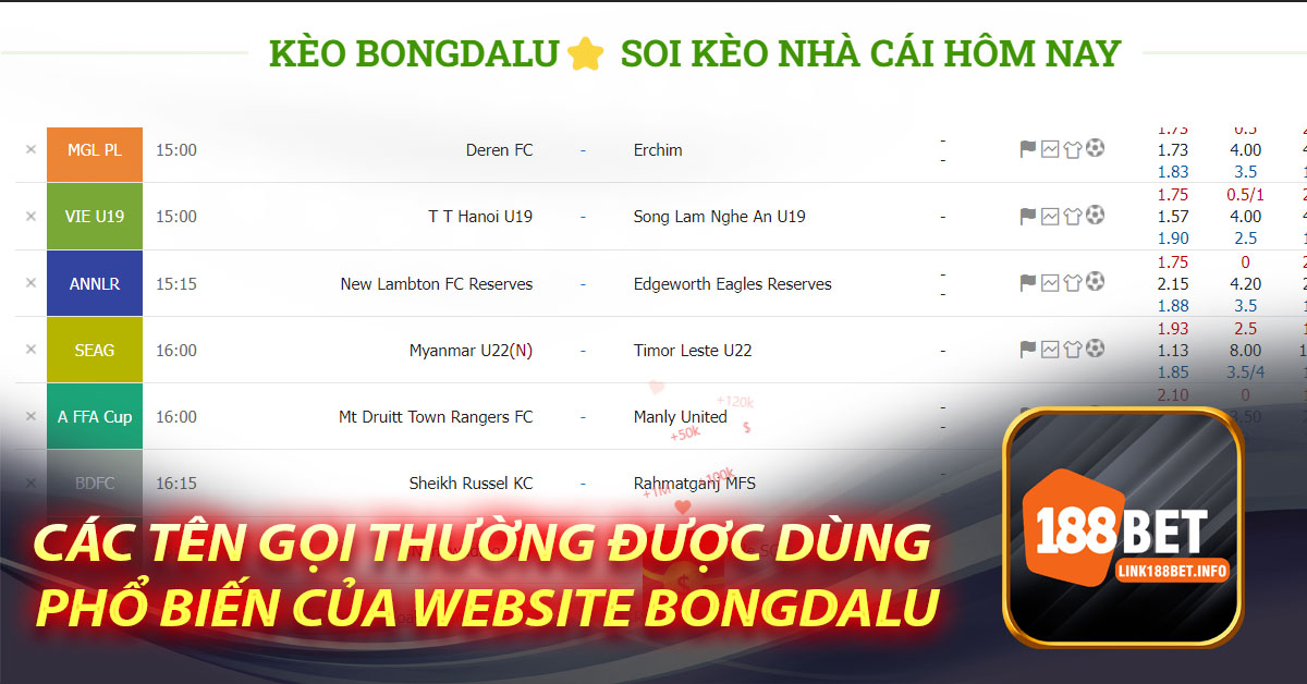 Các tên gọi thường được dùng phổ biến của website bongdalu
