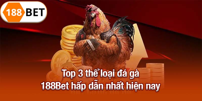 Top 3 thể loại dá gà 188Bet hấp dẫn nhất hiện nay